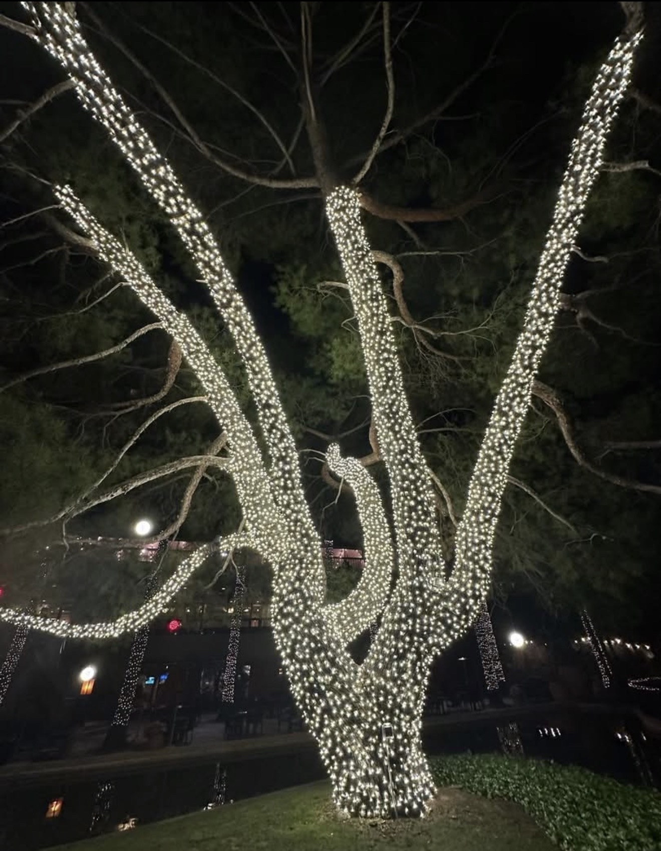Mini Lights